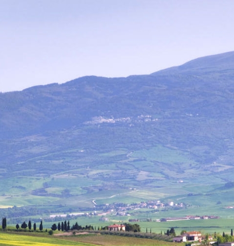 麂皮绒和科技布沙发怎么选