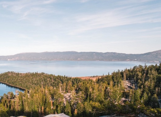 沉溺于小说世界