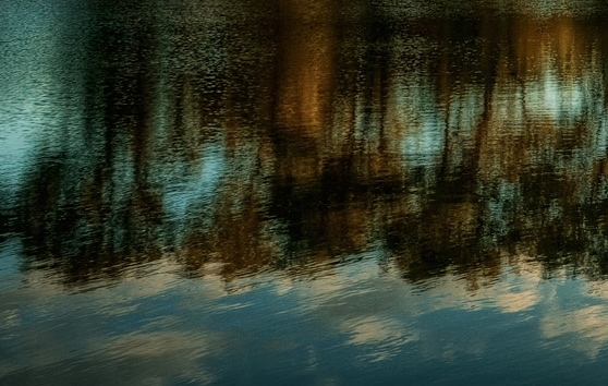 康帝世界赛抢龙