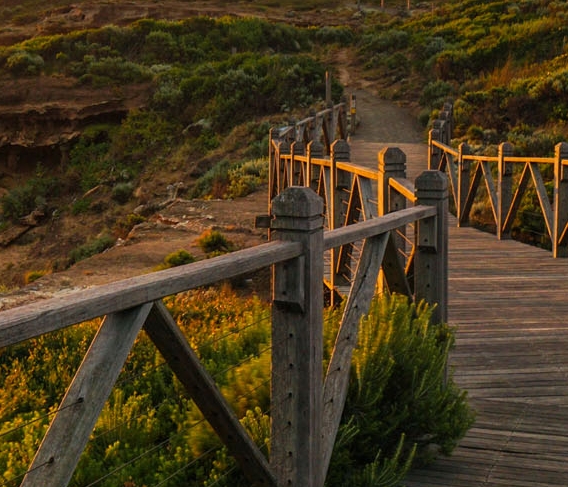 黑科技:从拒绝收购开始逆天崛起!