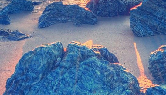 丝路物流有限公司