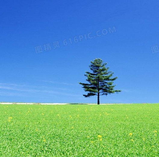 埃安科技座舱与奥迪科技座舱对比：奥迪全新豪华科技座舱震撼登场！