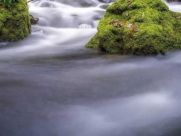 中天科技和东方电缆哪个更强