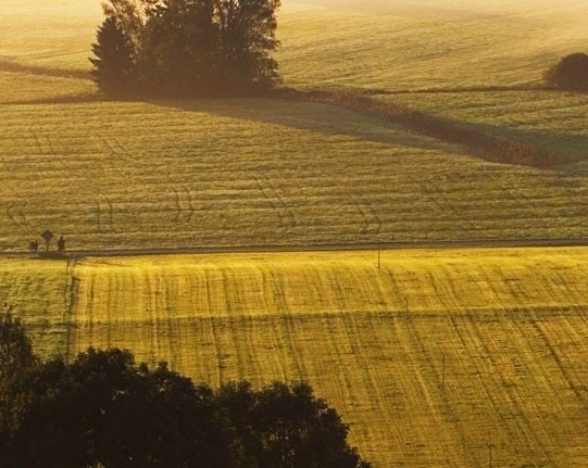 武汉璟泓生物科技