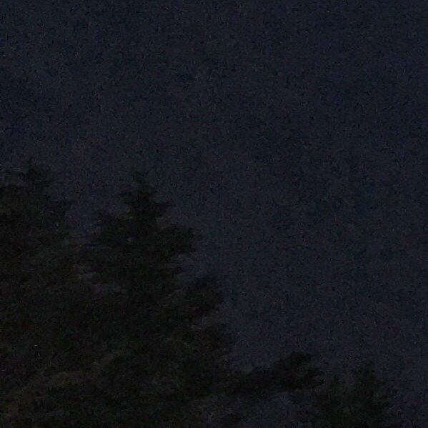 白羊座与双鱼座的职场差异：探析两种星座女强人的工作态度