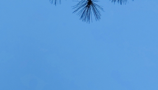 自在创意手写，送上温馨贺卡，定制手写贺卡模板