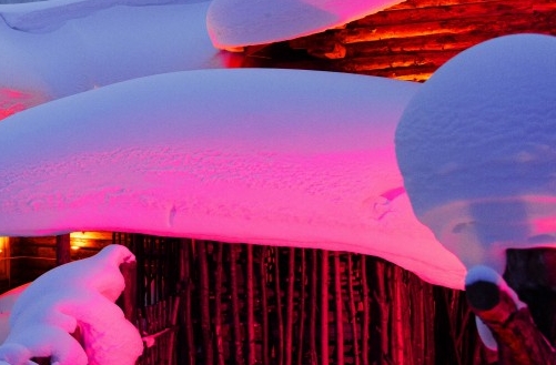 道是世界的根本