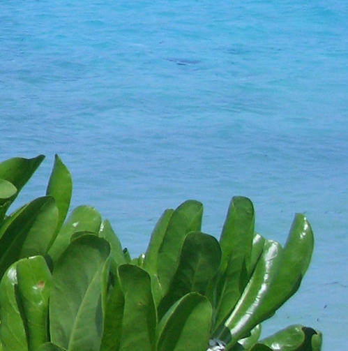 胖妹妹图片穿礼服150斤