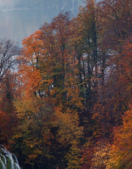 海洋世界视频高清动物世界