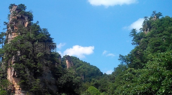 心灵法医干尸案真相