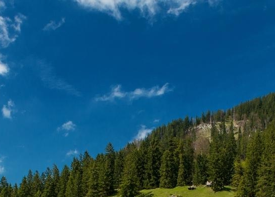 加特林摆摊黑科技视频