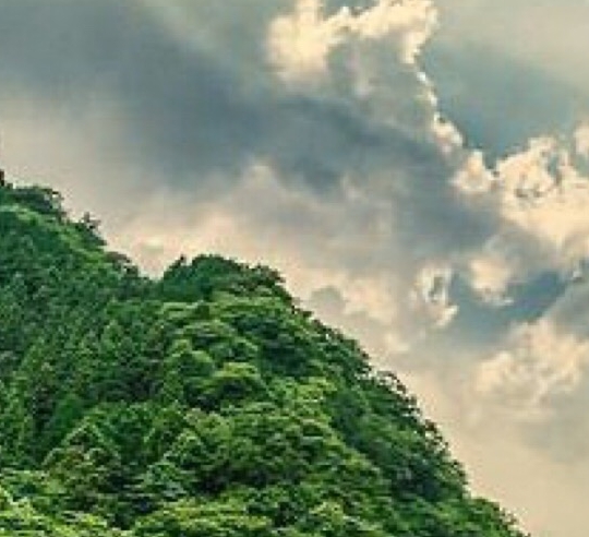 免费观看恐龙世界klea动画片，霸王龙登场！