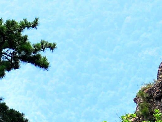 给人安排工作骗局套路