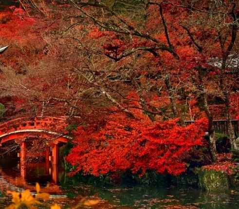 热血传说礼包码