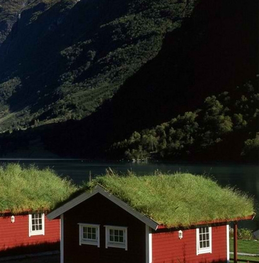 创意制作小发明