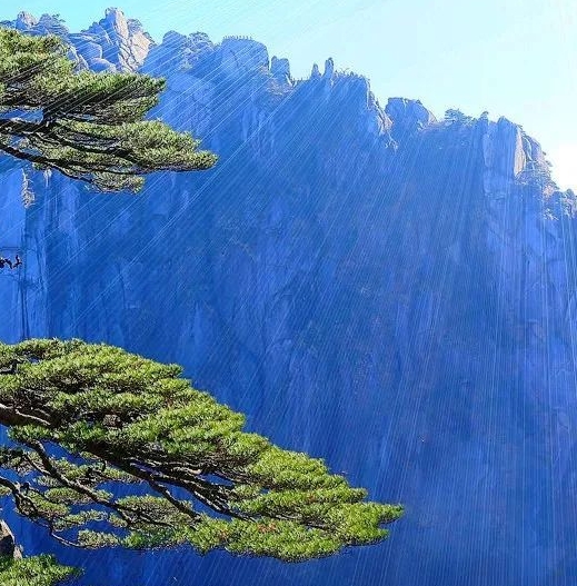 发掘个人优势，职场新人自我介绍展现自己的职场优势
