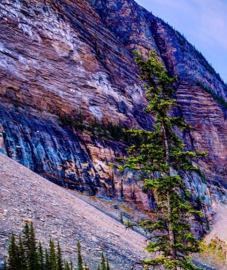 评论文章怎么写