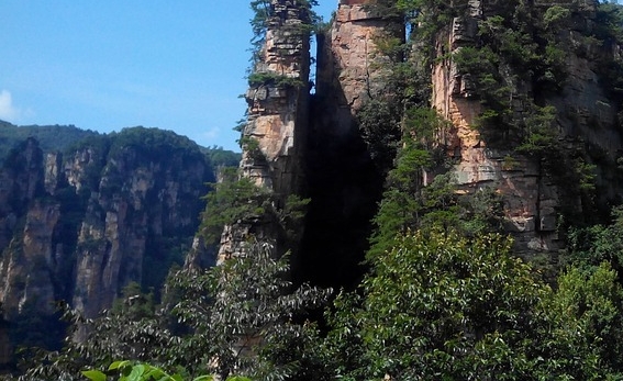 逃岸升天