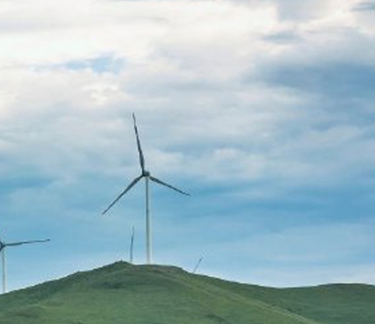 番鼠鉴赏家原魔杂谈