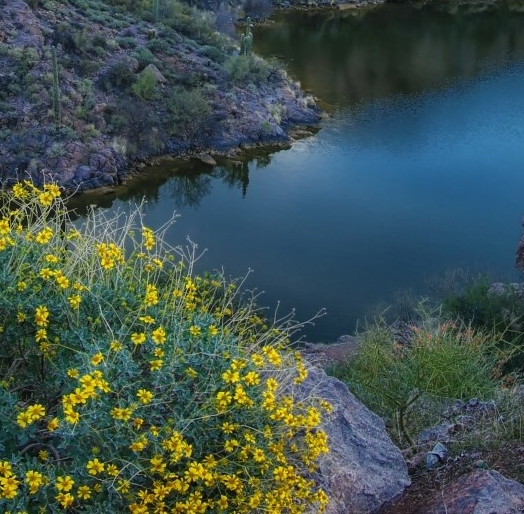 生活杂谈的散文