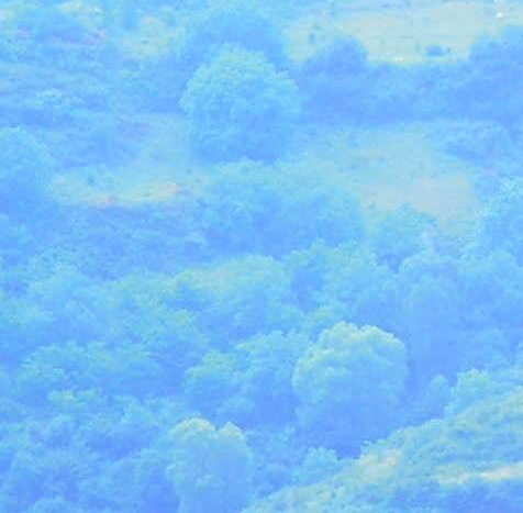 套娃核心牌
