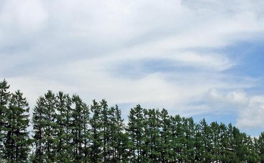 心灵荒野乱斗：新角色加入，免费账号享畅玩