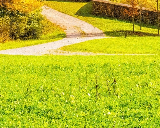 自然与科技手抄报