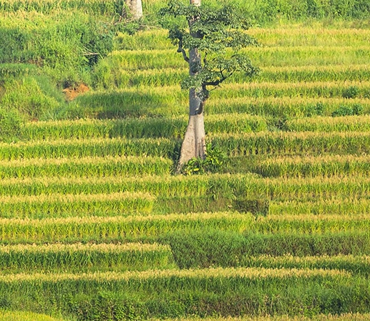 旅游大世界