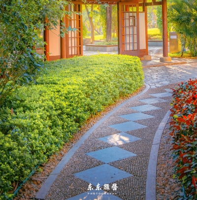 蠡县电商小镇 麻山药