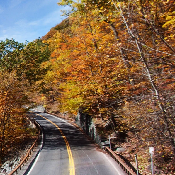 白萝卜创意菜名字