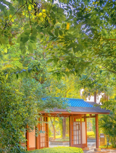 街舞基础训练