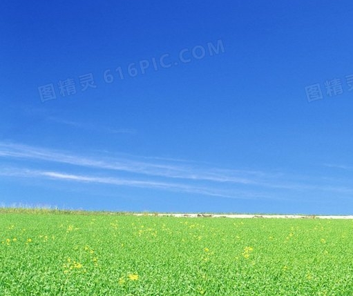 一万发票我能抵多少税