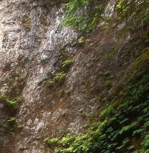 心灵奇旅人生哲理