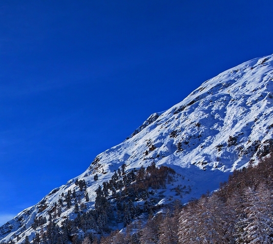 凹凸世界第四季19集