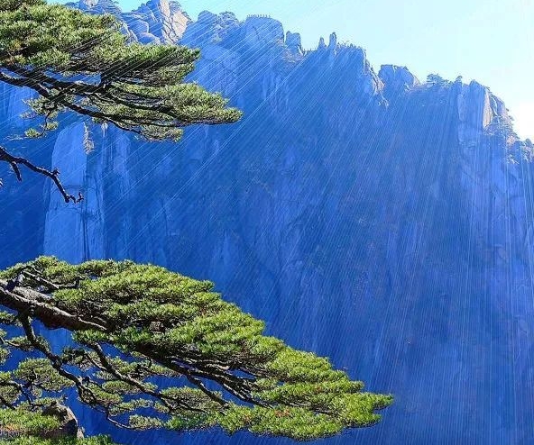 晶科科技怎么样