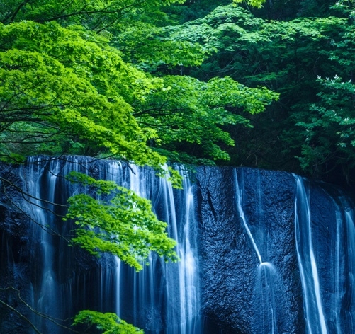 深圳市亚飞科技