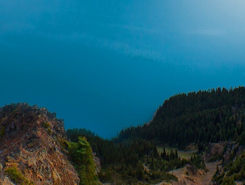 研究植物的人是什么学家