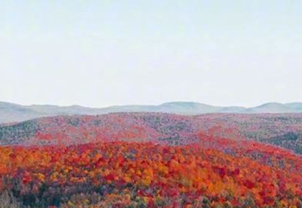 原神科技号购买