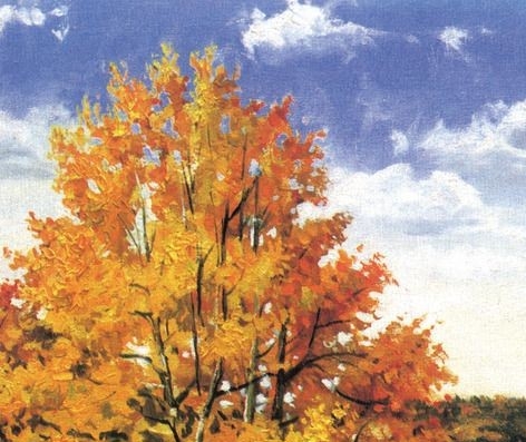 宝宝满月脚丫照