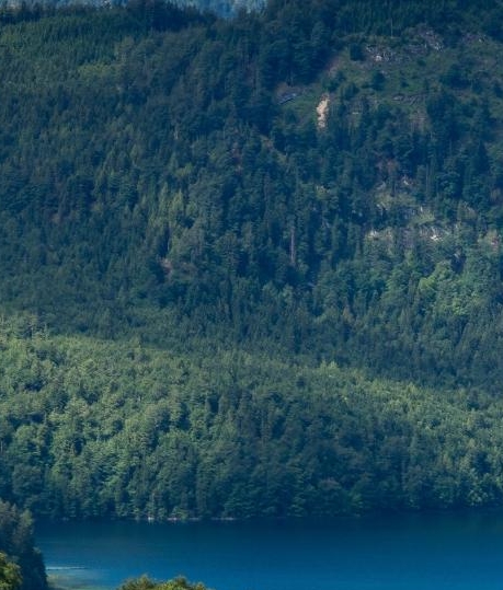 平均长度和直径