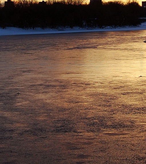 重庆大龙网跨境电商