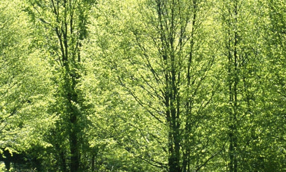 六一儿童节创意方案