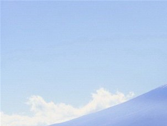新世界采集攻略