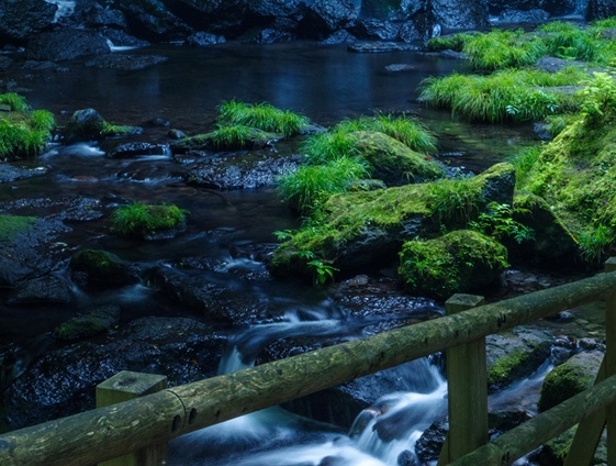 创意型号没有电话号码