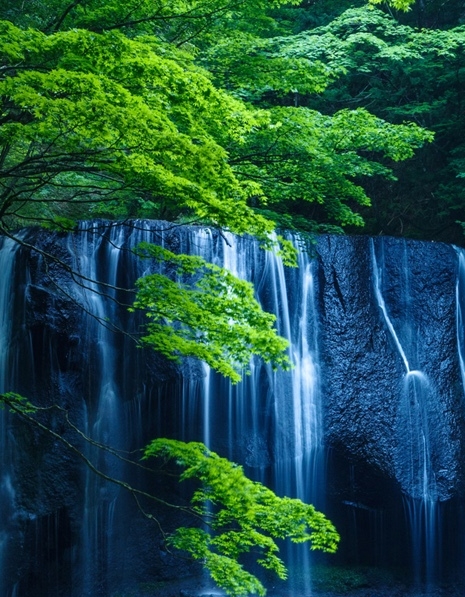 心灵旅途 百度网盘