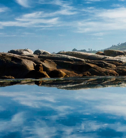 核心利润获现率计算