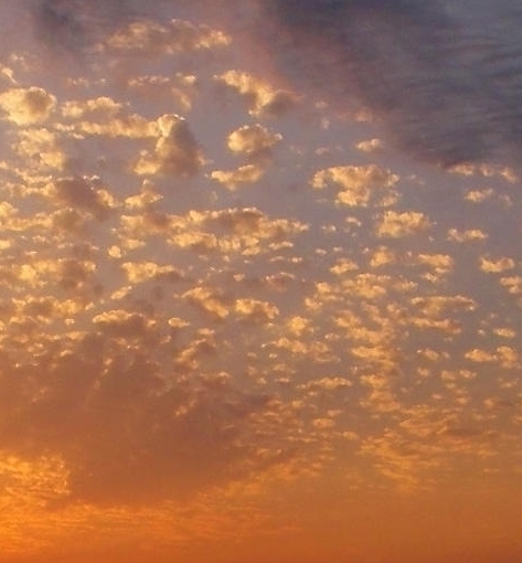 心灵治愈小说推荐