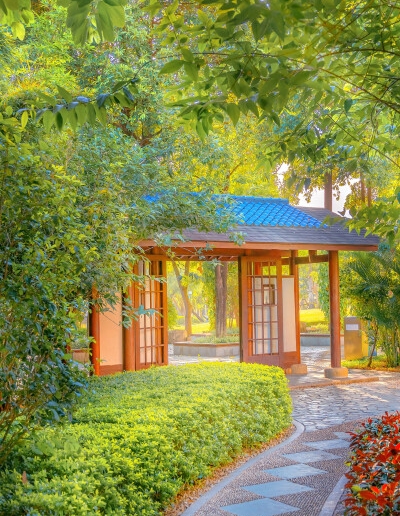 科技布表面会有绒吗