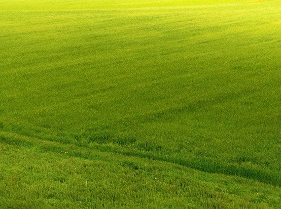 心灵工坊