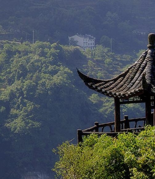 创意树叶拓印画